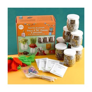 Coffret activité - mr patate