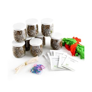 Coffret activité - mr patate