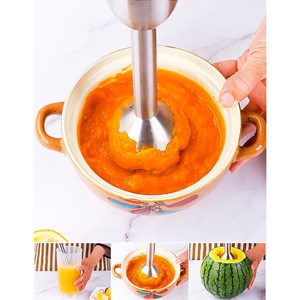 Mixeur plongeant de 600w avec deux vitesses, design ergonomique.