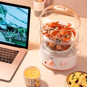 Vapeur électrique double niveau transparent multi-usages sans bpa.