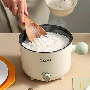 Autocuiseur multifonction électrique : riz, poêle, hot pot.