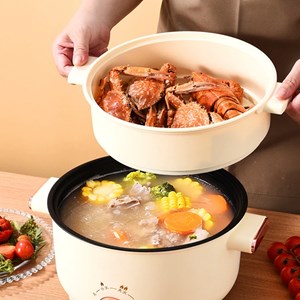 Auto-cuiseur électrique multi-fonctions 800w. Trois températures, 2.5l.