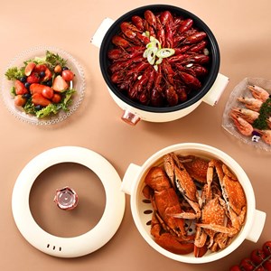 Auto-cuiseur électrique multi-fonctions 800w. Trois températures, 2.5l.