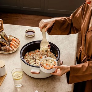 Auto-cuiseur électrique multi-fonctions 800w. Trois températures, 2.5l.