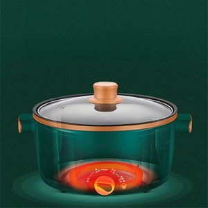 Casserole électrique, cuiseur à vapeur, multifonction. Réglage 3 températures.