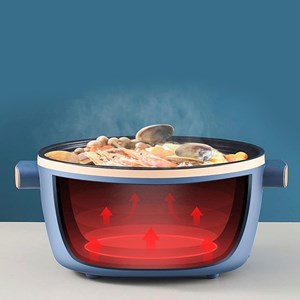 Casserole électrique, cuiseur à vapeur, multifonction. Réglage 3 températures.