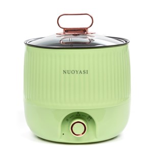 Marmite multifonction électrique, hot pot, cuiseur à riz.