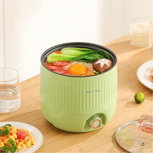 Marmite multifonction électrique, hot pot, cuiseur à riz.