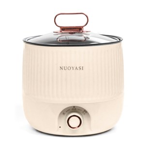 Autocuiseur multifonction électrique, hot pot, cuiseur à riz.
