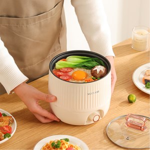 Autocuiseur multifonction électrique, hot pot, cuiseur à riz.