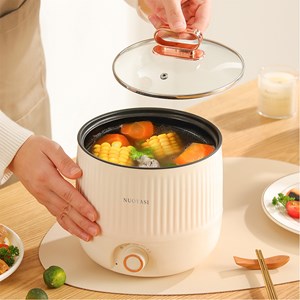 Autocuiseur multifonction électrique, hot pot, cuiseur à riz.