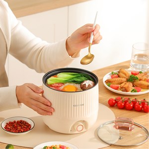 Autocuiseur multifonction électrique, hot pot, cuiseur à riz.