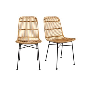 Chaises en rotin et métal noir (lot de 2) malacca