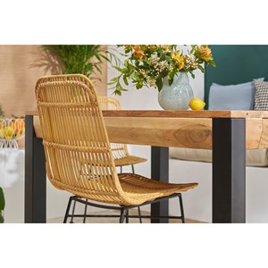 Chaises en rotin et métal noir (lot de 2) malacca