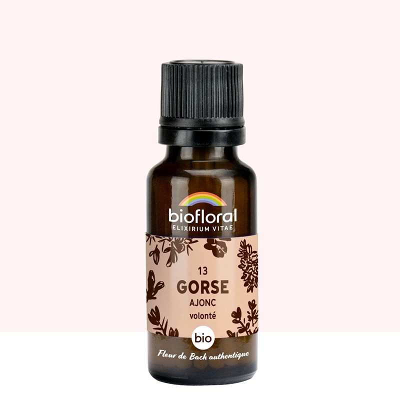 Biofloral - 13 gorse, ajonc - bio