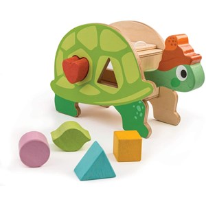 Boîte à formes tortue