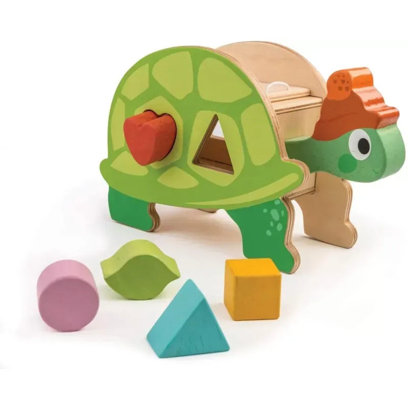 Boîte à formes tortue
