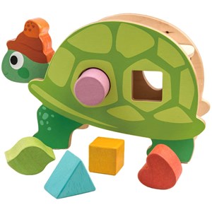 Boîte à formes tortue