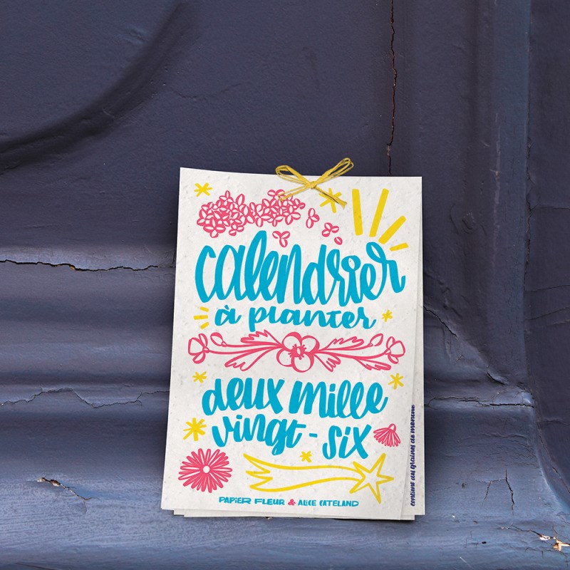 Calendrier à planter 2026, l’art et la couleur, 13 graines