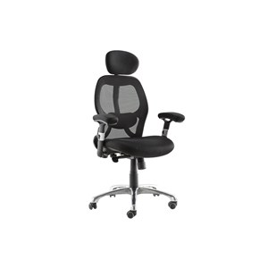 Fauteuil de bureau ergonomique ultimate v2 plus