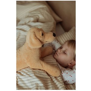 Chien en peluche lesté 2,2 kg