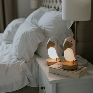 Veilleuse et enceinte bluetooth toucan blanc