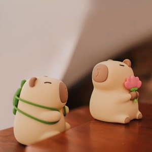 Veilleuse rechargeable capibara fleuriste