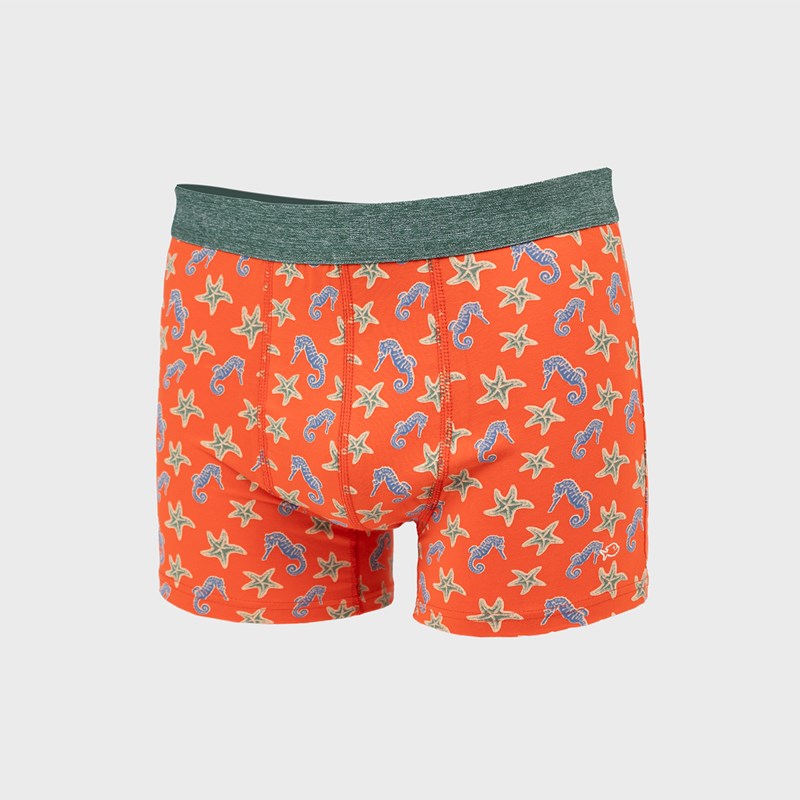 Boxer en coton biologique seahorse