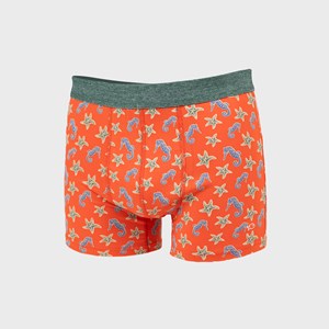 Boxer en coton biologique seahorse M
