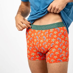Boxer en coton biologique seahorse M