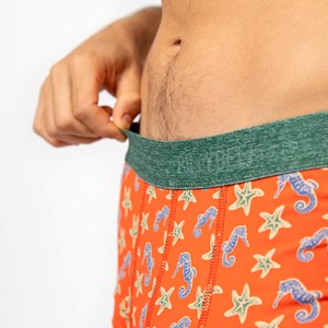 Boxer en coton biologique seahorse M