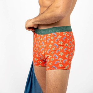Boxer en coton biologique seahorse M