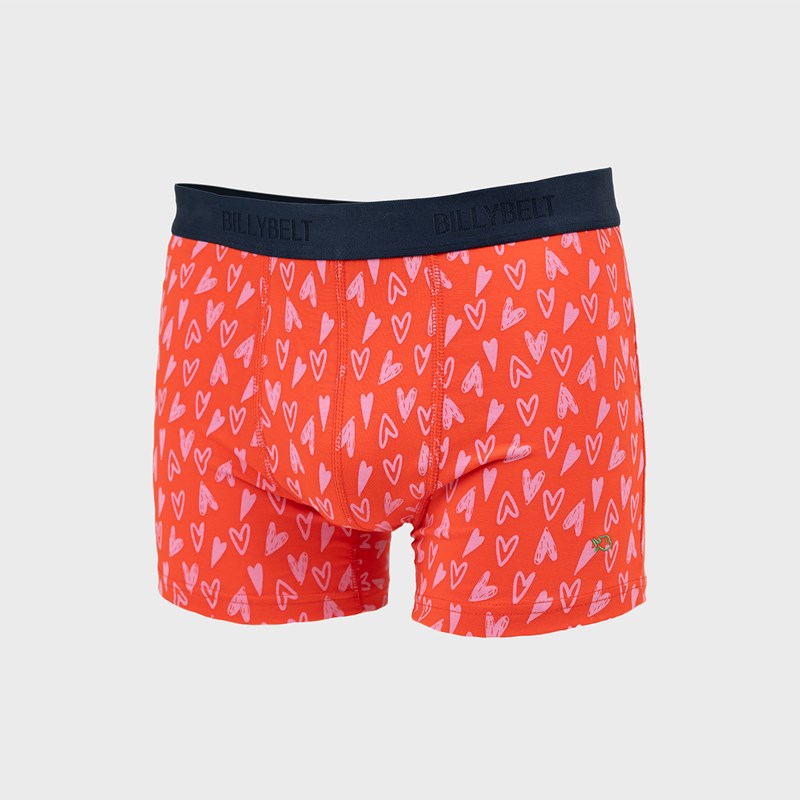 Boxer en coton biologique valentin