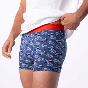 Boxer en coton biologique glacier S