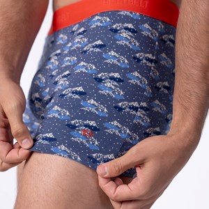 Boxer en coton biologique glacier S
