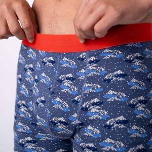 Boxer en coton biologique glacier S
