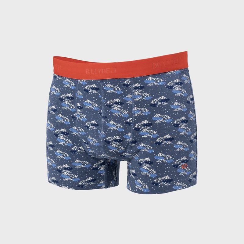 Boxer en coton biologique glacier