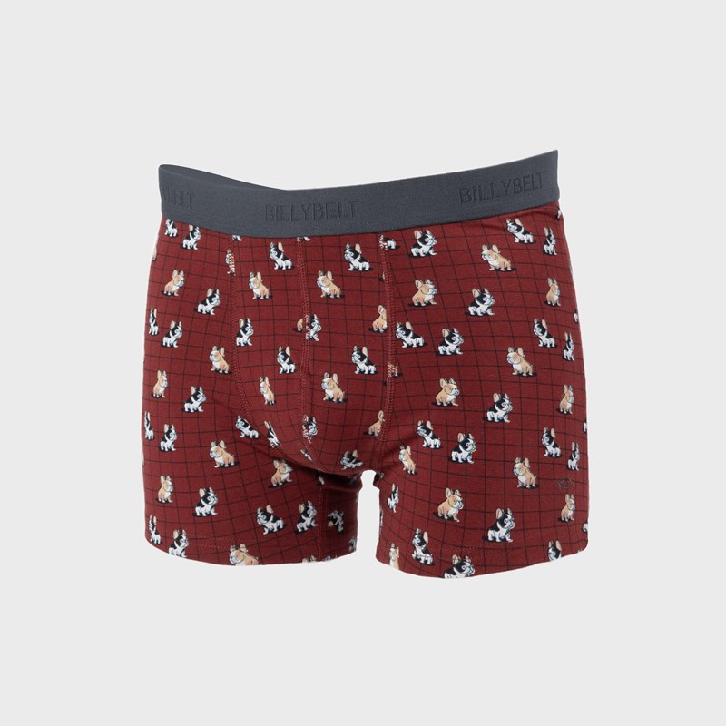 Boxer en coton biologique marcel