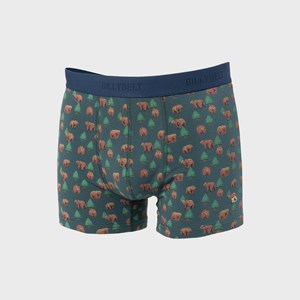 Boxer en coton biologique kinai S