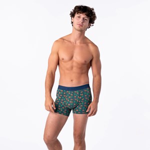 Boxer en coton biologique kinai S