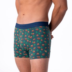 Boxer en coton biologique kinai S