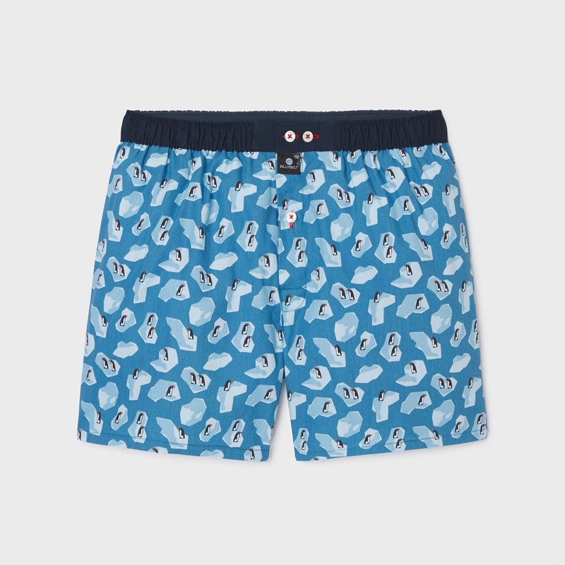 Caleçon en coton biologique pingouin