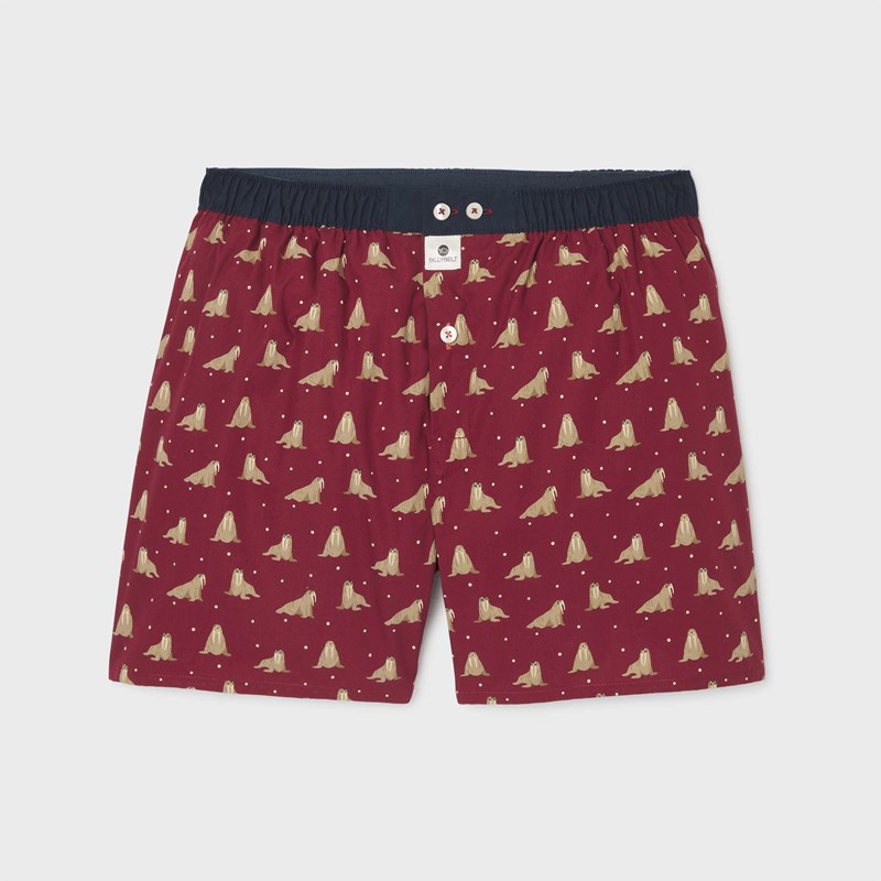 Caleçon en coton biologique walrus