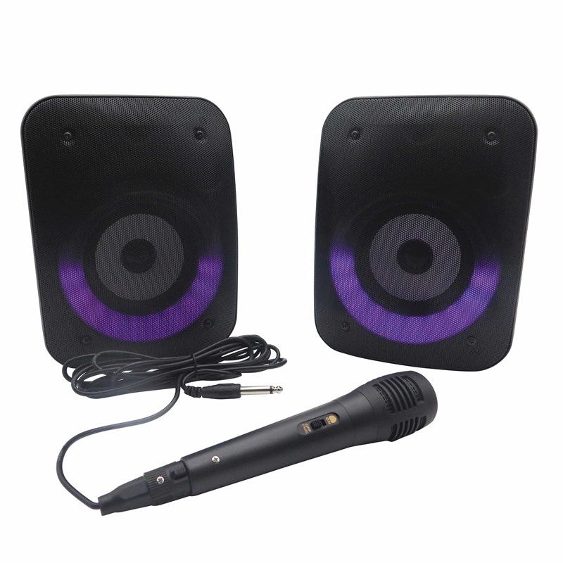 Une paire d'enceintes stereo puissantes bluetooth iparty