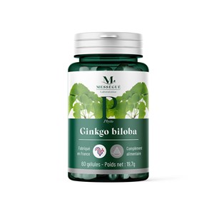 Complément alimentaire ginkgo biloba - mémoire