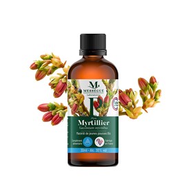 Gemmothérapie macérat jeunes pousses myrtillier bio - vision