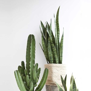 Panier ou cache pot bohème coloris