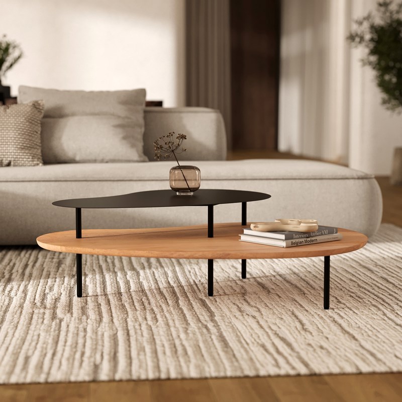 Maison Pavane - Tables gigognes en bois et metal noir (lot de 2) - moji