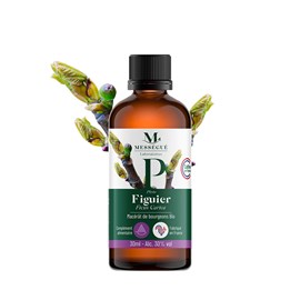 Gemmothérapie macérat bourgeons figuier bio - stress