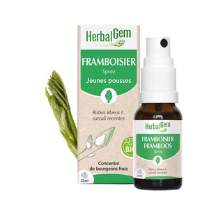 Herbalgem - bourgeon de framboisier - spray - bio